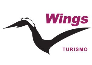 Wings Turismo